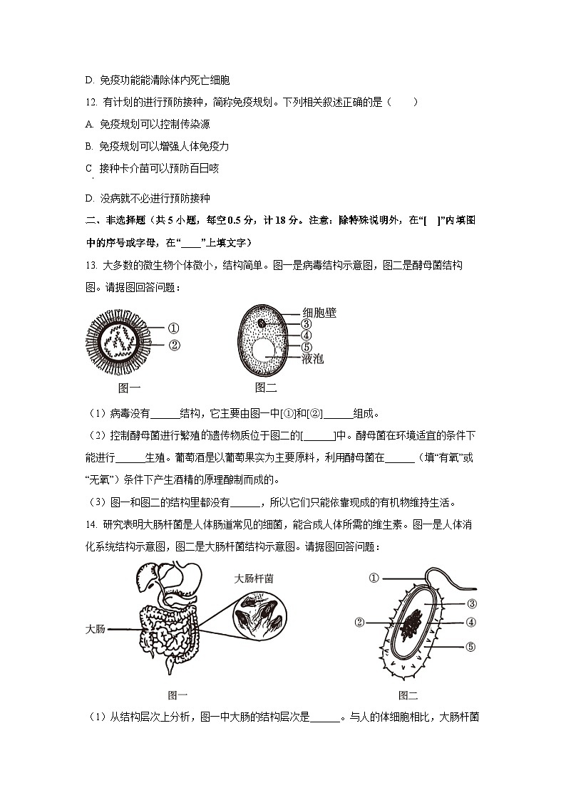 2025~2026学年辽宁省抚顺市东洲区八年级（上）10月月考生物试题第3页