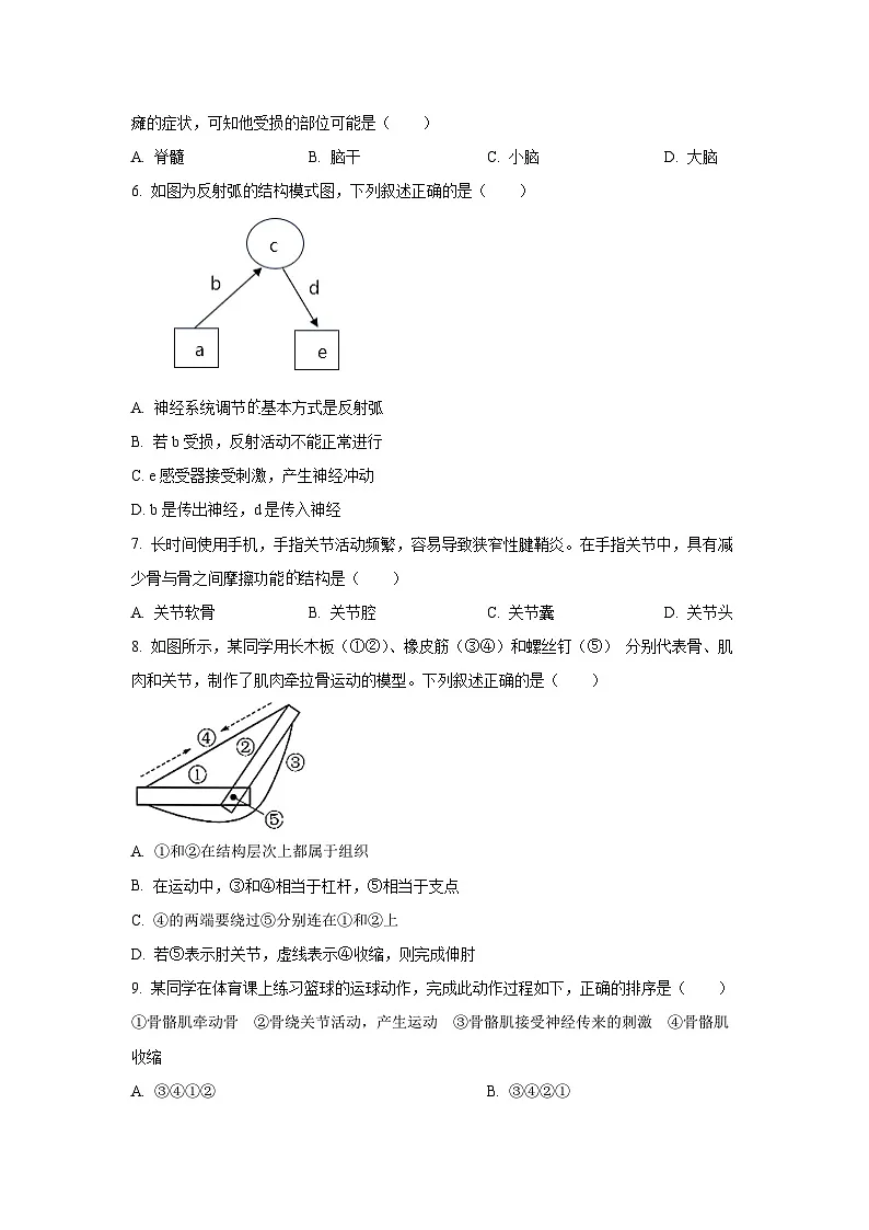 2025~2026学年辽宁省大连市金普新区八年级（上）10月月考生物试题第2页