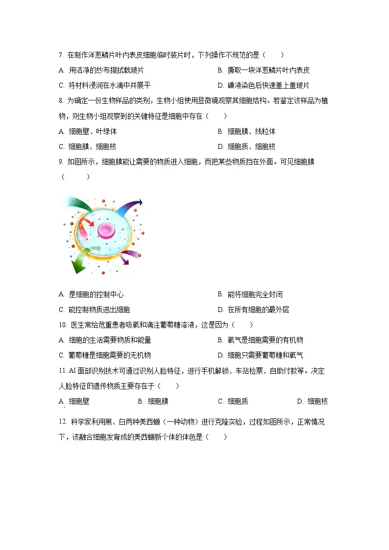 2025~2026学年吉林省长春市南关区七年级（上）期中生物试题（学生版）第2页