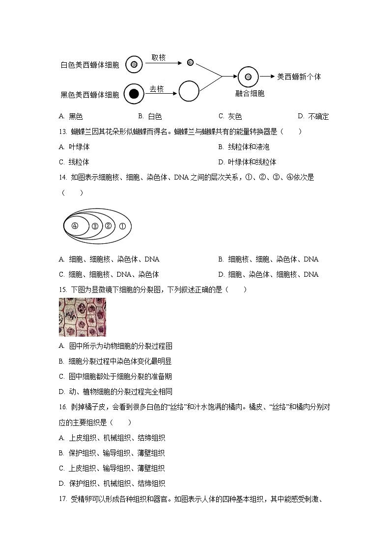 2025~2026学年吉林省长春市南关区七年级（上）期中生物试题（学生版）第3页