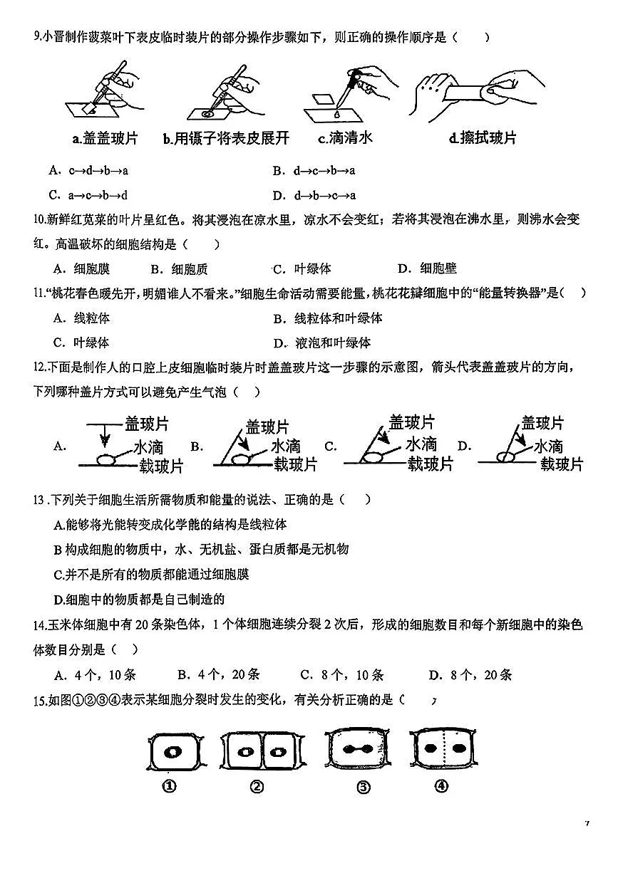 吉林省长春汽车经济技术开发区第九中学+2025-2026学年七年级上学期+期中生物试题第2页