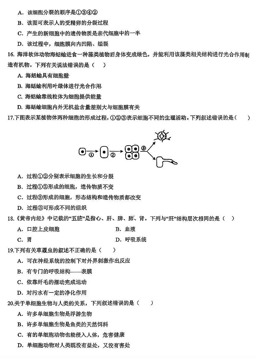 吉林省长春汽车经济技术开发区第九中学+2025-2026学年七年级上学期+期中生物试题第3页