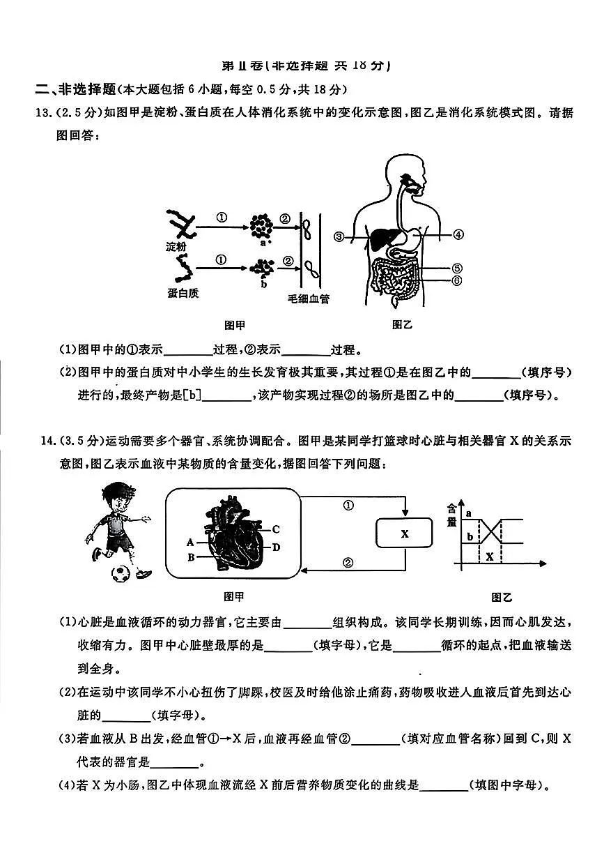 辽宁省鞍山市立山区2025-2026学年八年级上学期11月期中考试生物试题第3页