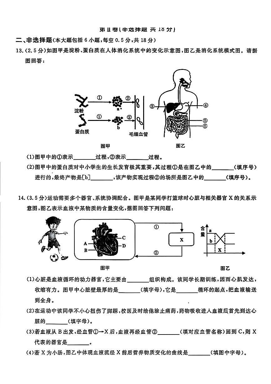 辽宁省鞍山市立山区2025-2026学年八年级上学期11月期中考试生物试题第3页