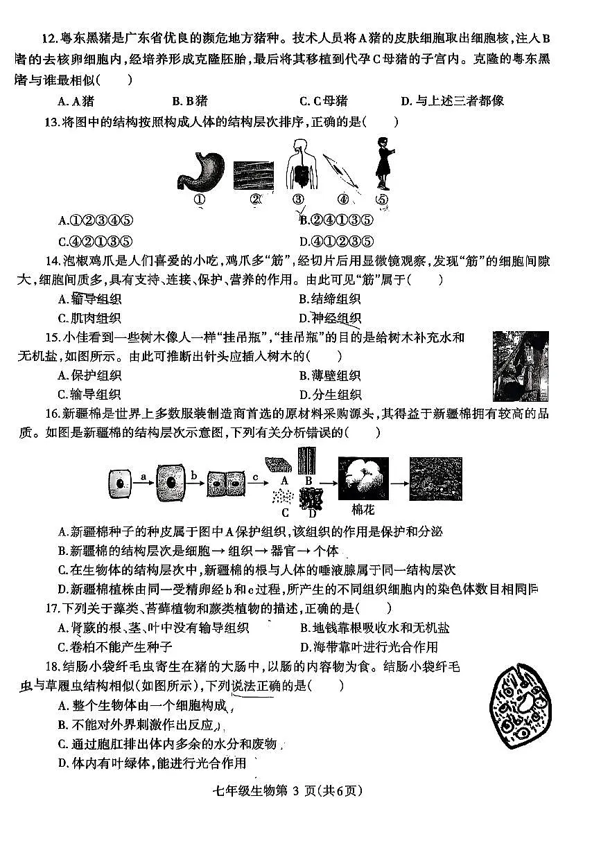 2025~2026济源市冬学段七年级上学期期中考试生物试卷第3页