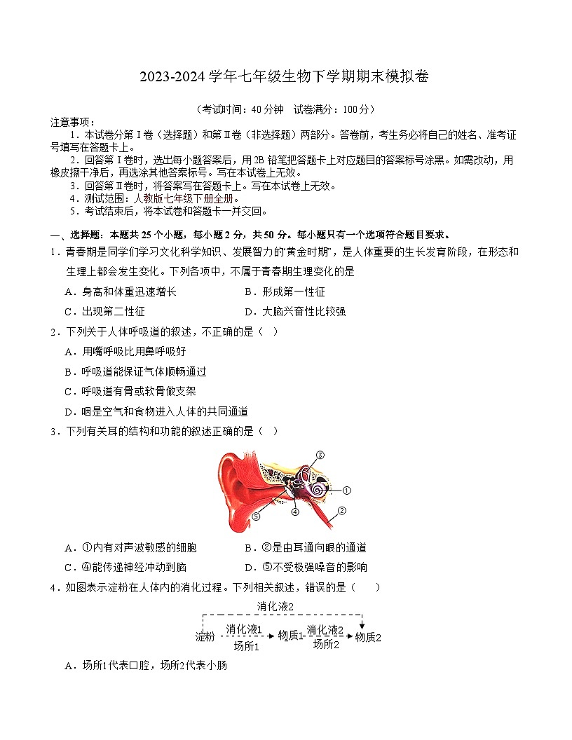 七年级生物期末模拟卷（考试版A4）第1页