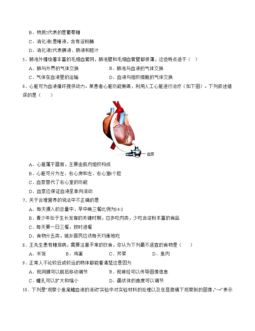 七年级生物期末模拟卷（考试版A4）第2页