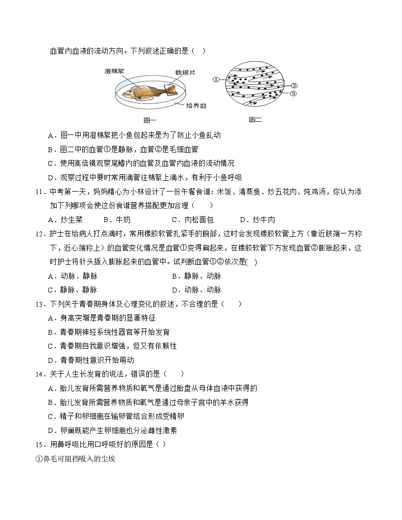 七年级生物期末模拟卷（考试版A4）第3页