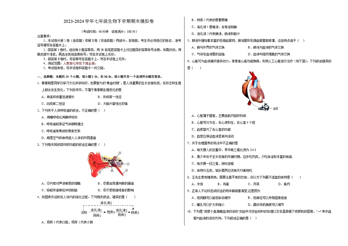 七年级生物期末模拟卷（考试版A3）第1页
