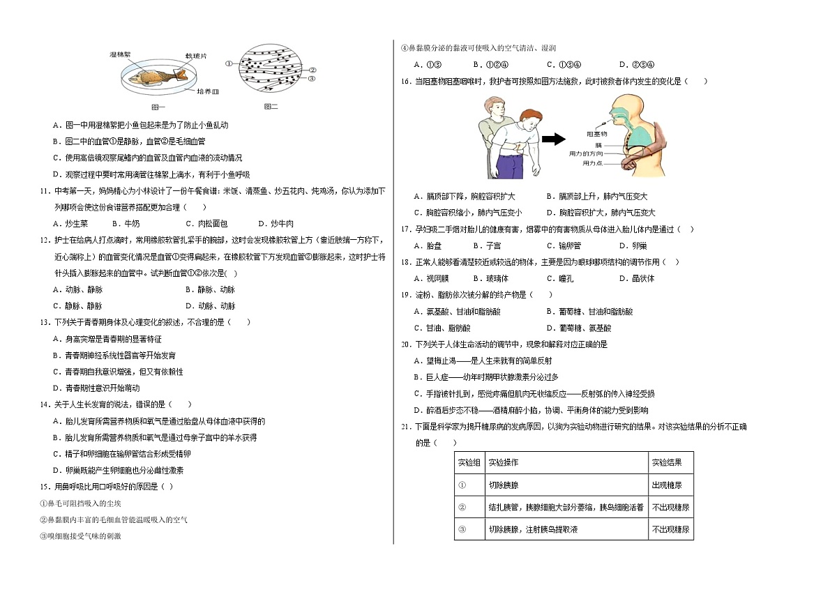 七年级生物期末模拟卷（考试版A3）第2页