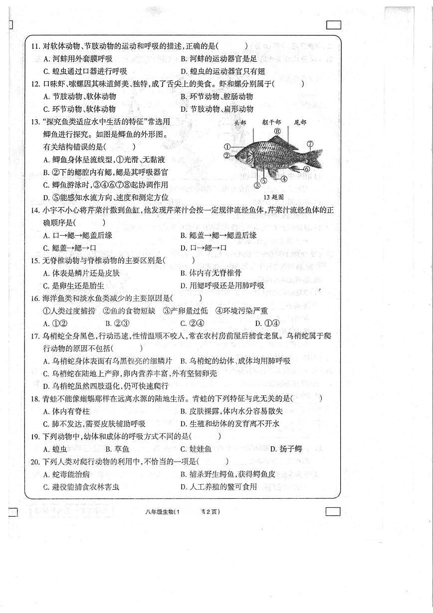 甘肃省定西市通渭县平襄教育集团2023-2024学年八年级上学期学习评价（1）生物试卷（月考）第2页
