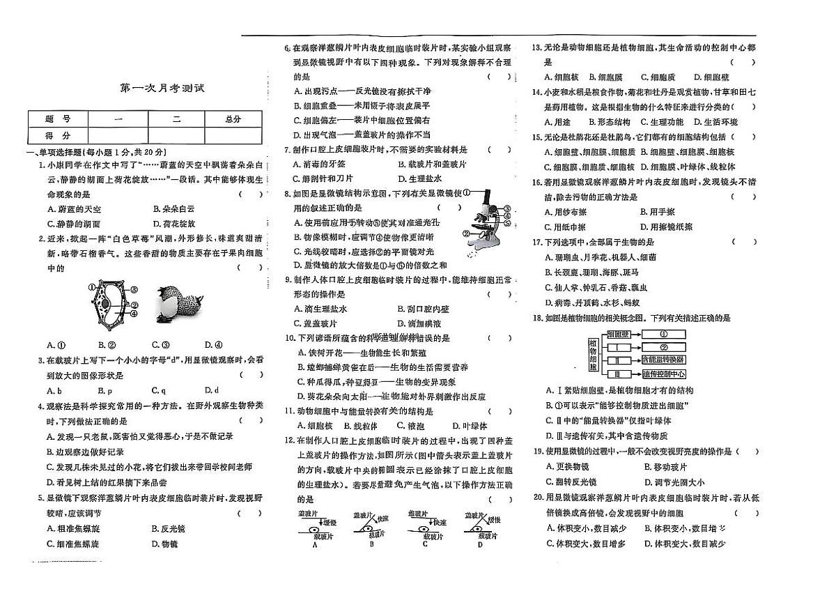 吉林省松原市宁江区风华中学2025--2026学年度上学期第一次月考测试   七年级生物试卷第1页