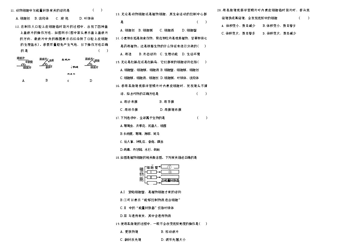 吉林省松原市宁江区风华中学2025--2026学年度上学期第一次月考测试   七年级生物试卷第2页
