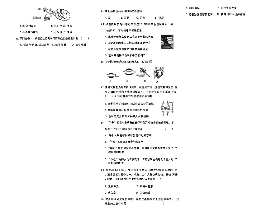 吉林省松原市宁江区风华中学2025—2026学年度上学期第一次月考试卷   八年级生物试卷第2页