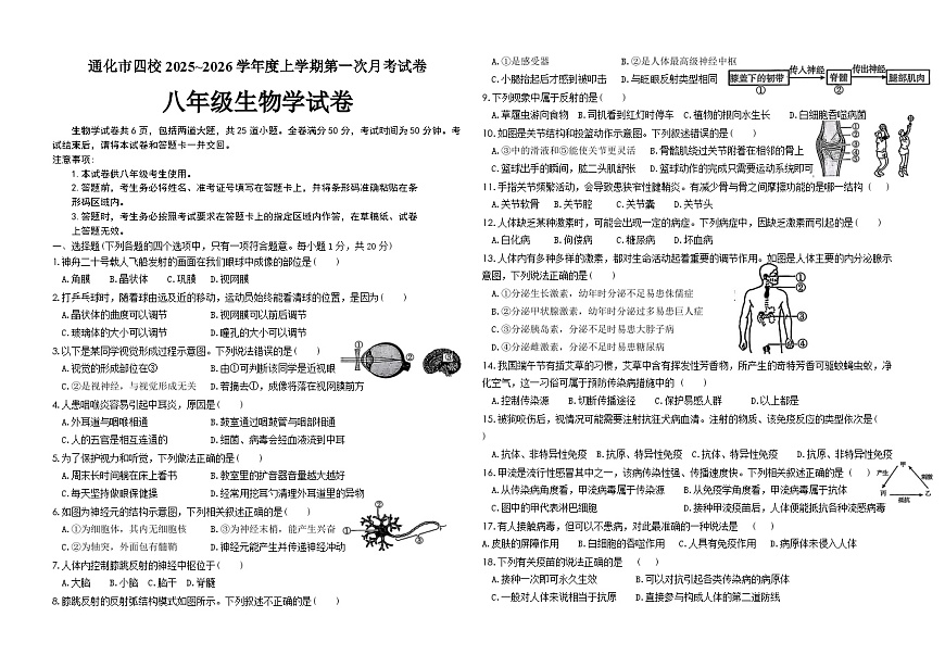 吉林省通化市四校2025~2026学年度上学期第一次月考试卷   八年级生物试卷（含答案）第1页