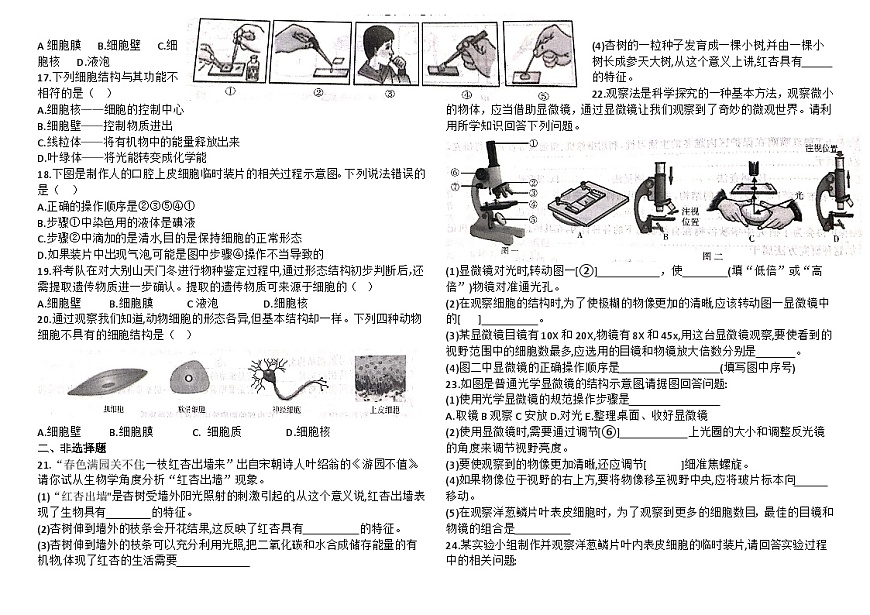 林省长春市四校2025-2026学年度上学期第一次月考试卷   七年级生物试卷（含答案）第2页
