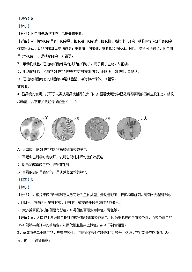 精品解析：广东省深圳市罗湖区2024-2025学年七年级上学期期末生物试题（解析版）第3页