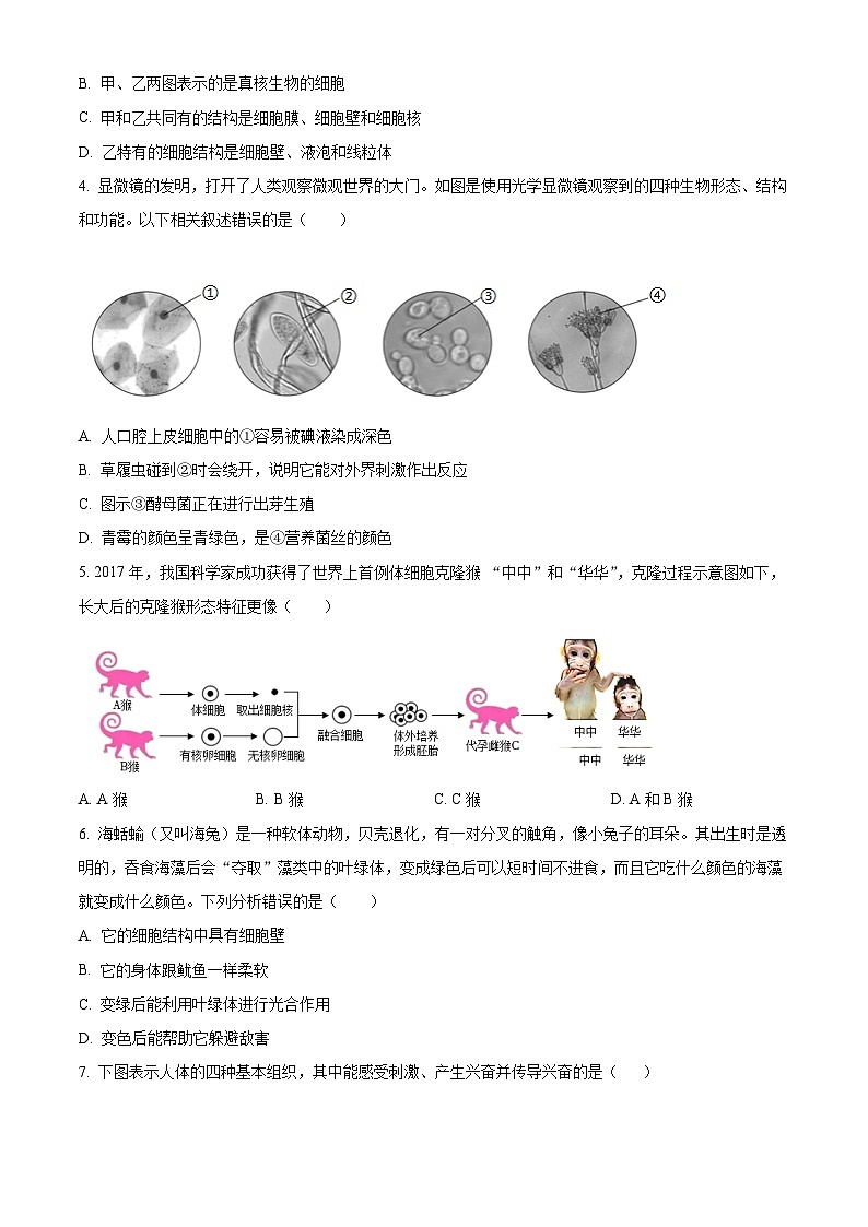 精品解析：广东省深圳市罗湖区2024-2025学年七年级上学期期末生物试题（原卷版）第2页