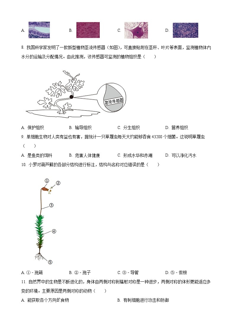 精品解析：广东省深圳市罗湖区2024-2025学年七年级上学期期末生物试题（原卷版）第3页