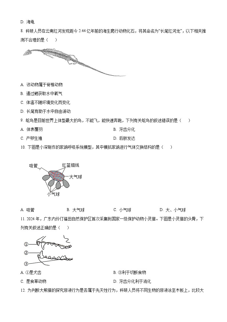 精品解析：广东省深圳市宝安区2024-2025学年八年级上学期期末生物试题（原卷版）第3页