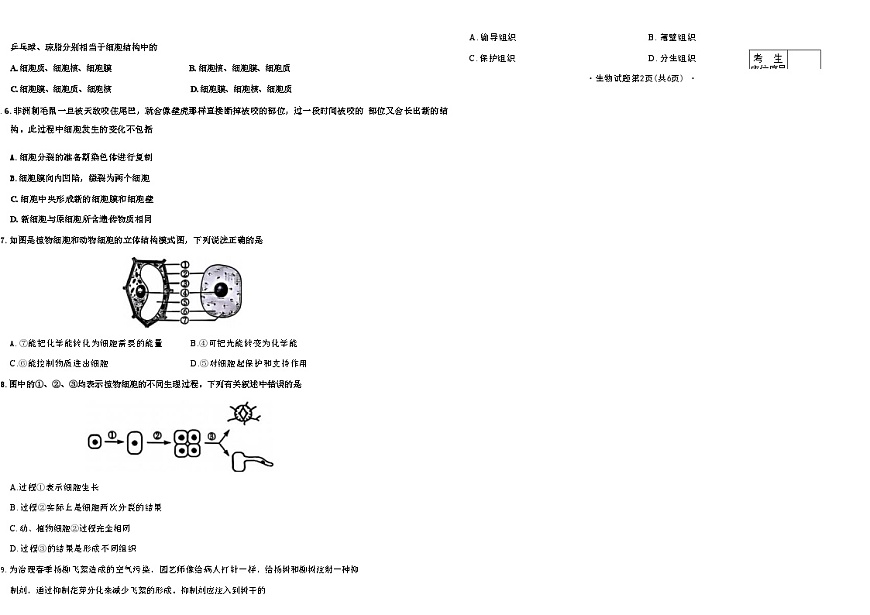 吉林省长春市四校2025—2026学年度第一学期综合练习   七年级生物试题（含答案）第2页