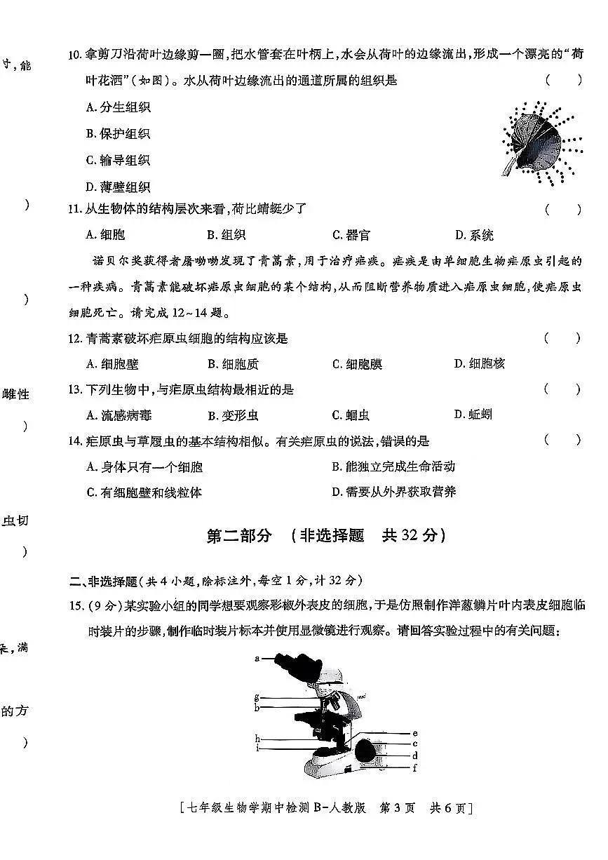 陕西省榆林市部分学校2025-2026学年七年级上生物期中试卷第3页