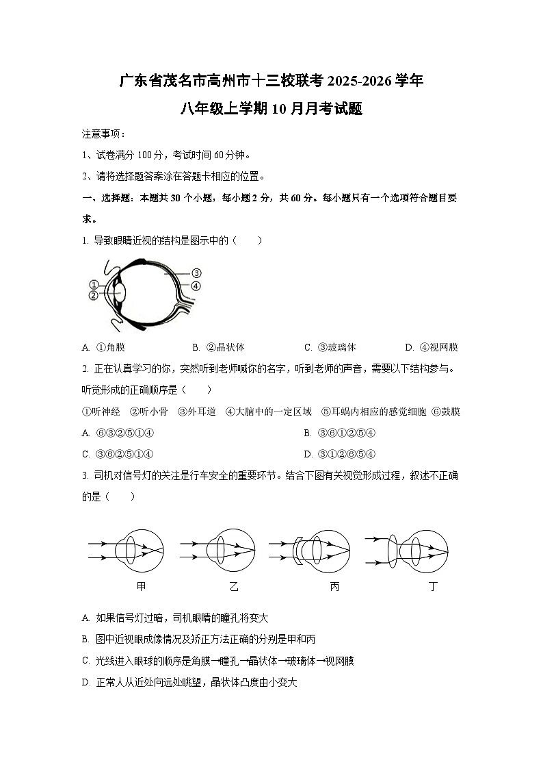 2025~2026学年广东省茂名市高州市十三校联考八年级（上）10月月考生物试题（学生版）第1页