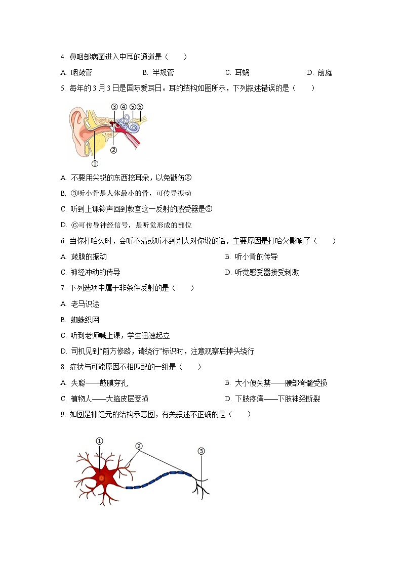 2025~2026学年广东省茂名市高州市十三校联考八年级（上）10月月考生物试题（学生版）第2页