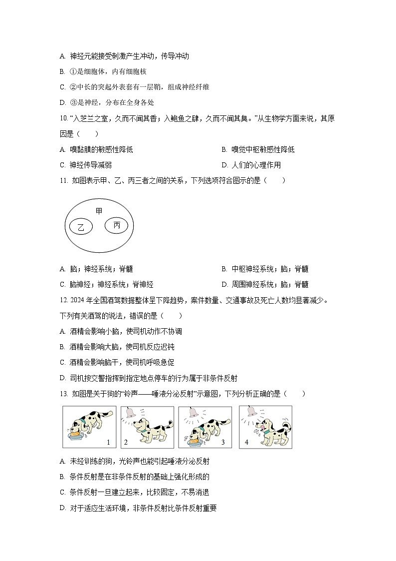2025~2026学年广东省茂名市高州市十三校联考八年级（上）10月月考生物试题（学生版）第3页