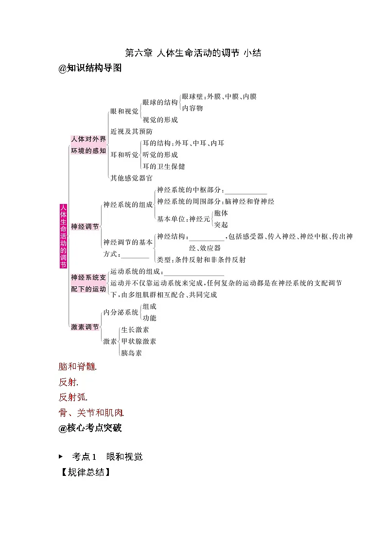 第六章 人体生命活动的调节 小结第1页