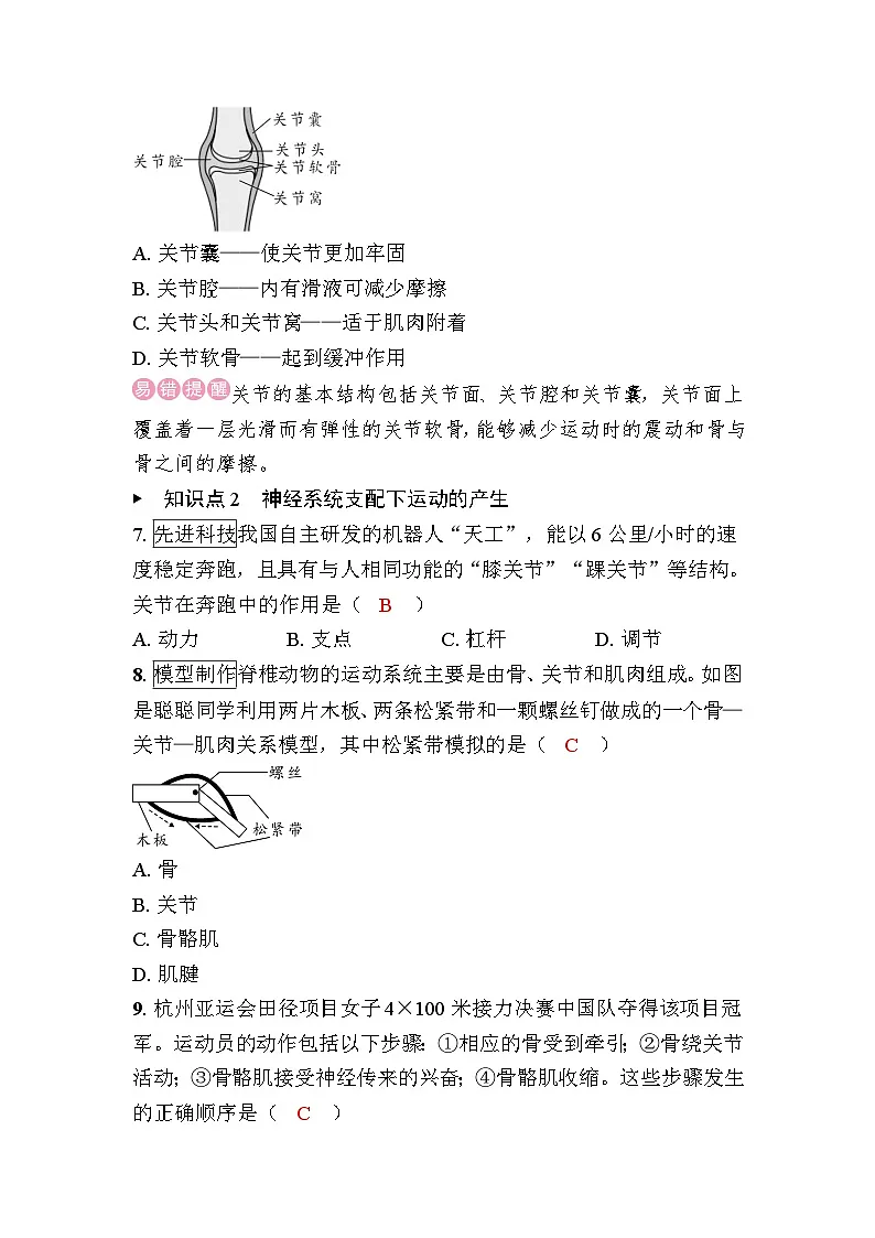 4.6.3　神经系统支配下的运动第2页