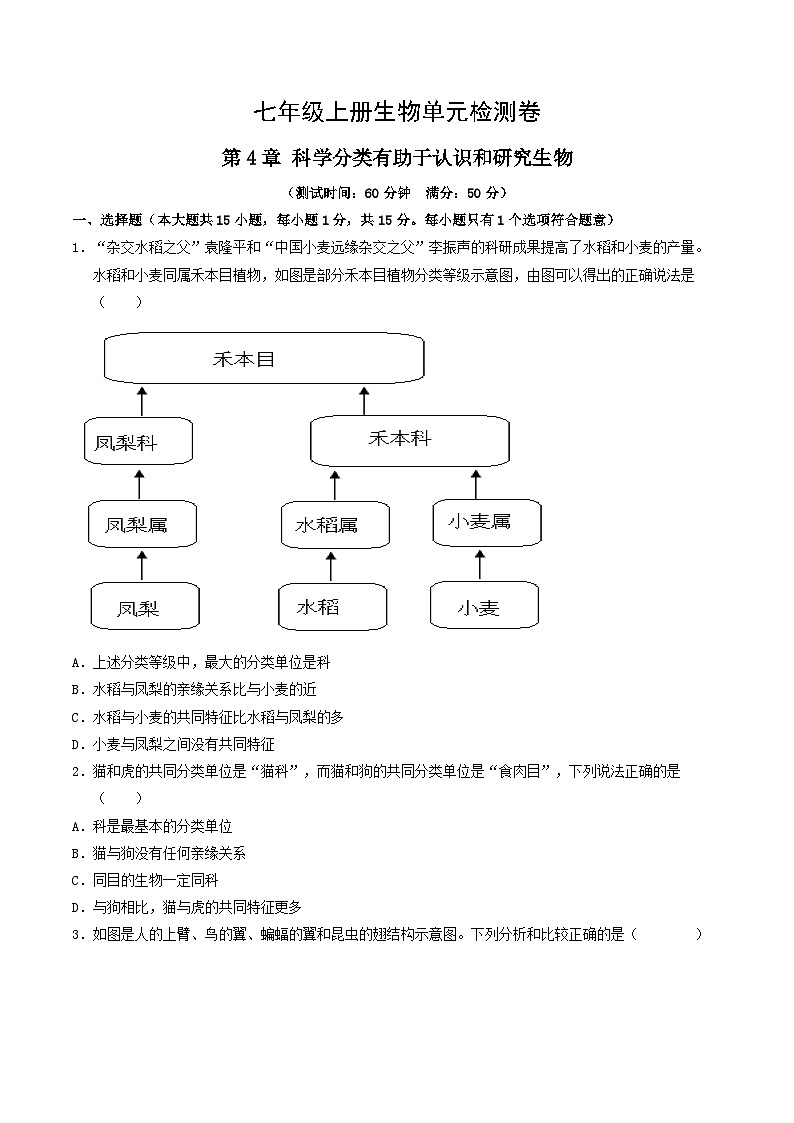 第二单元第四章 科学分类有助于认识和研究生物（单元测试）（考试版A4）第1页