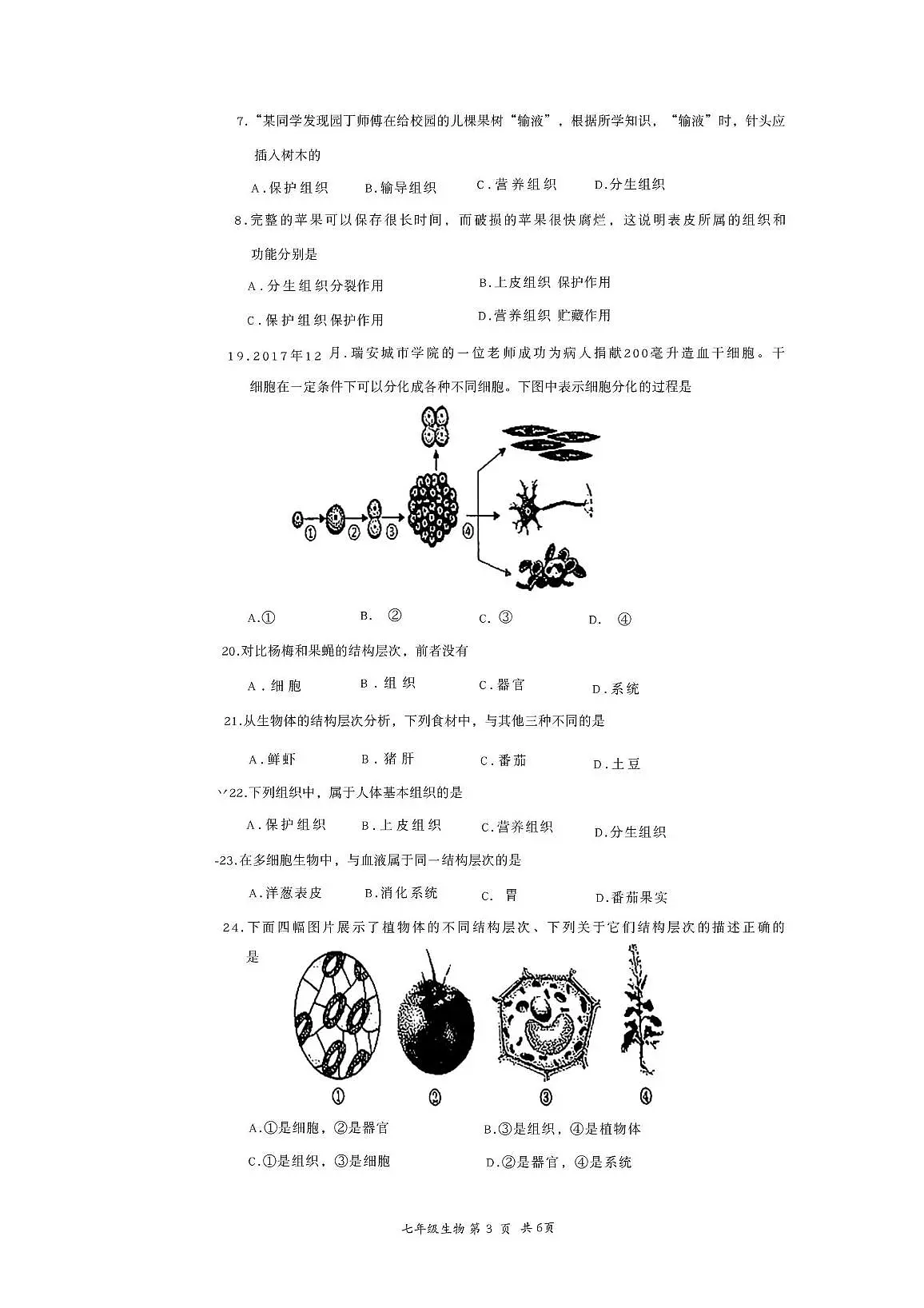 河北省张家口市2025-2026学年七年级上学期11月份期中生物试题第3页