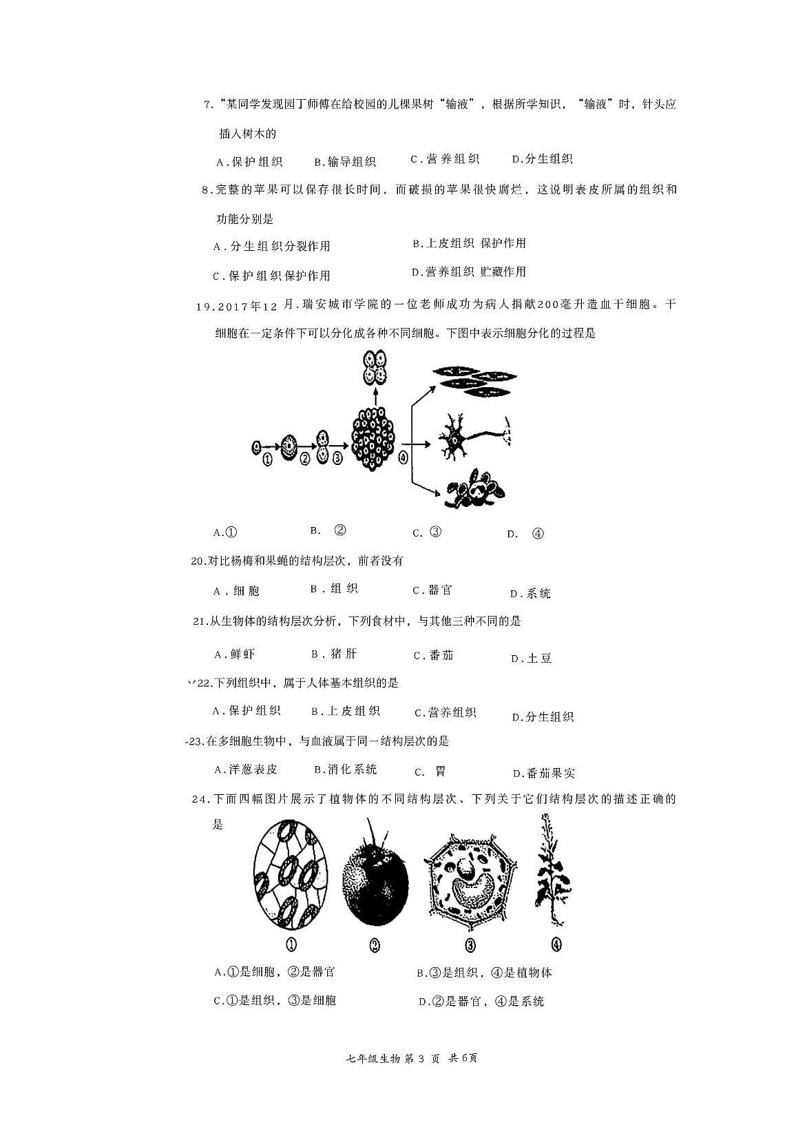 河北省张家口市2025-2026学年七年级上学期11月份期中生物试题第3页