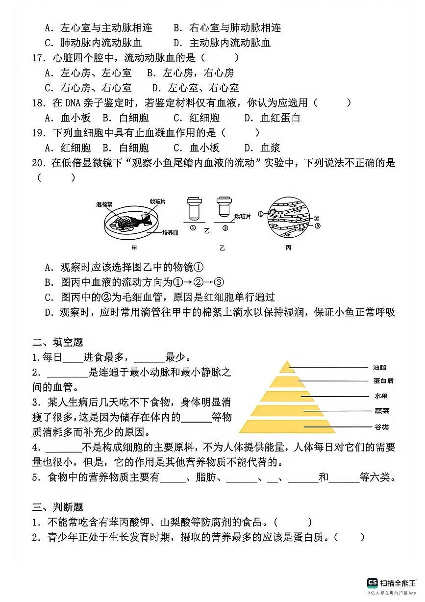 河北省邯郸市成安县北乡义乡李庄中学、路固中学联考2025-2026学年八年级上学期11月期中生物试题第3页