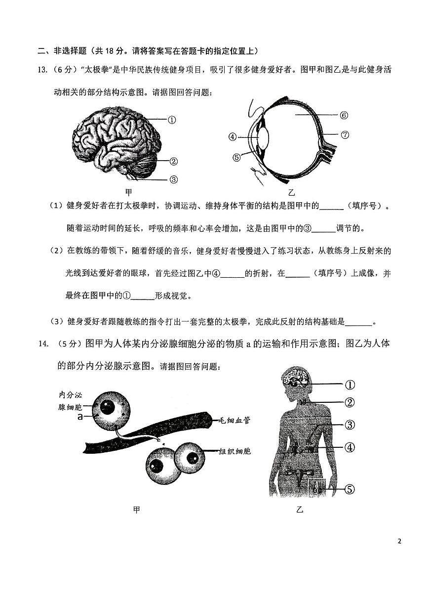 辽宁省丹东市九校联考2025-2026学年八年级上学期11月期中考试生物试题第3页