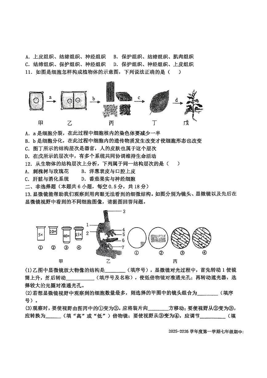 辽宁省沈阳市法库县2025-2026学年七年级上学期11月期中考试生物试题第3页