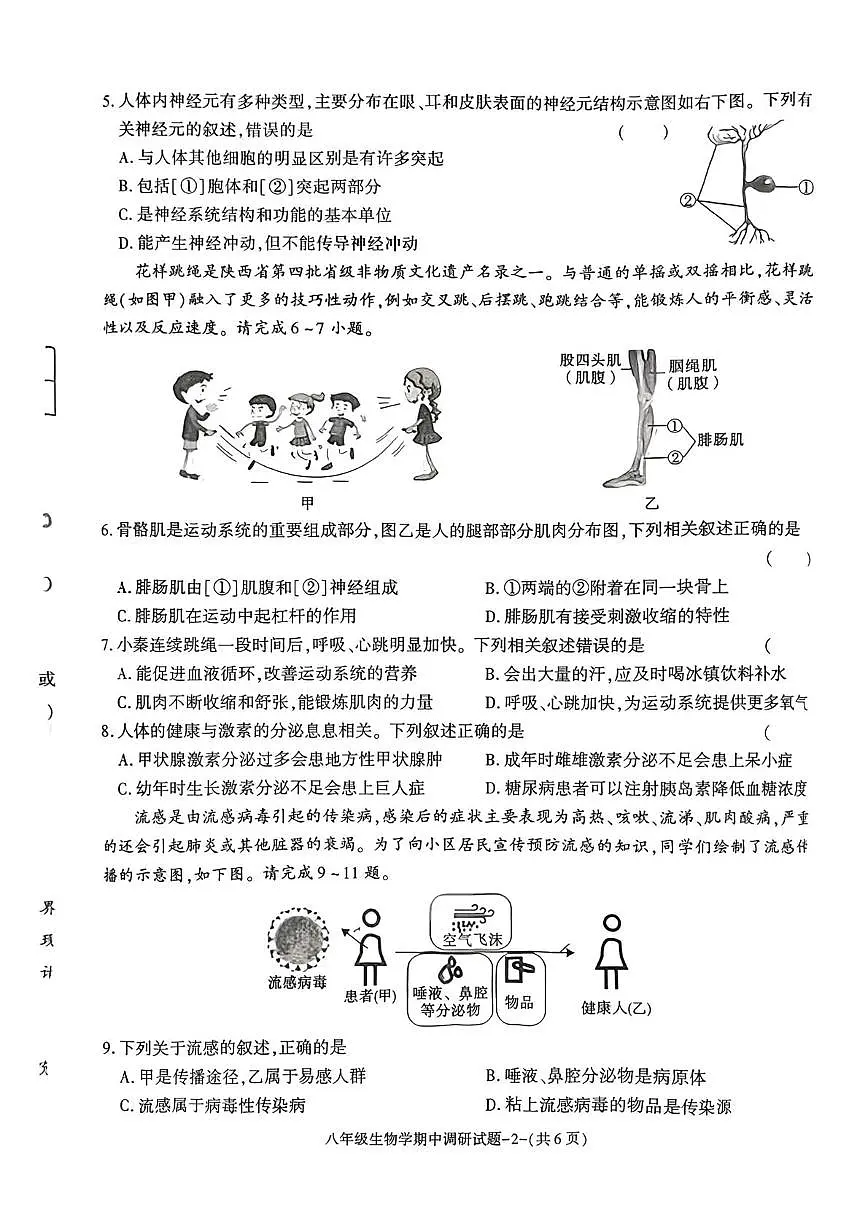 陕西榆林市榆阳区2025--2026学年八年级上学期生物学期中试卷第2页