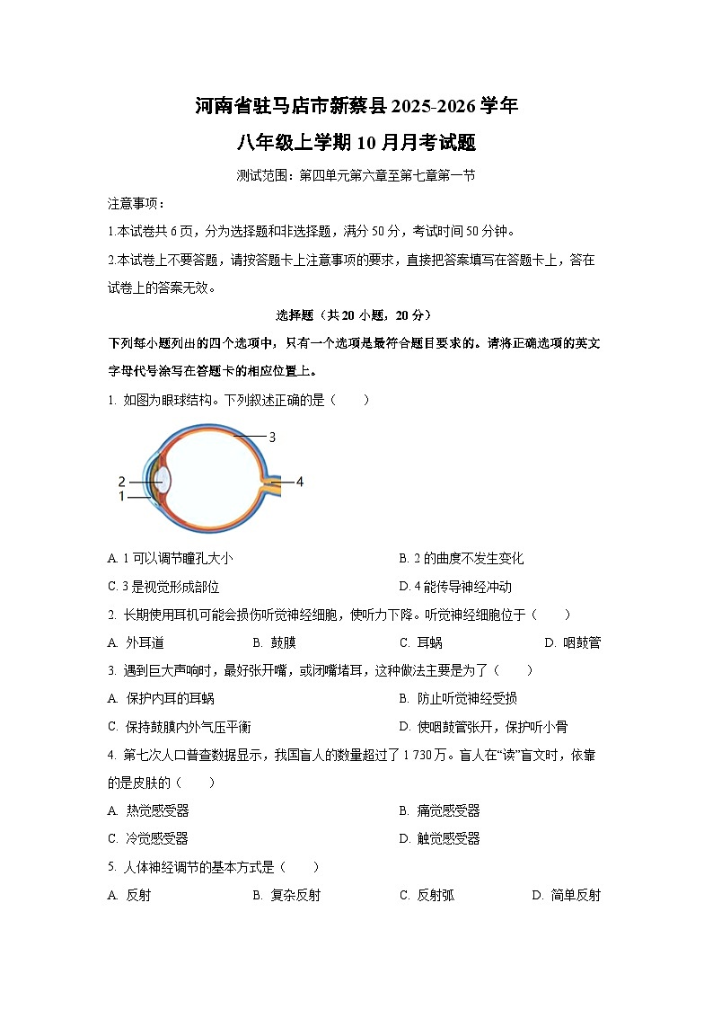 2025~2026学年河南省驻马店市新蔡县八年级（上）10月月考生物试题（学生版）第1页