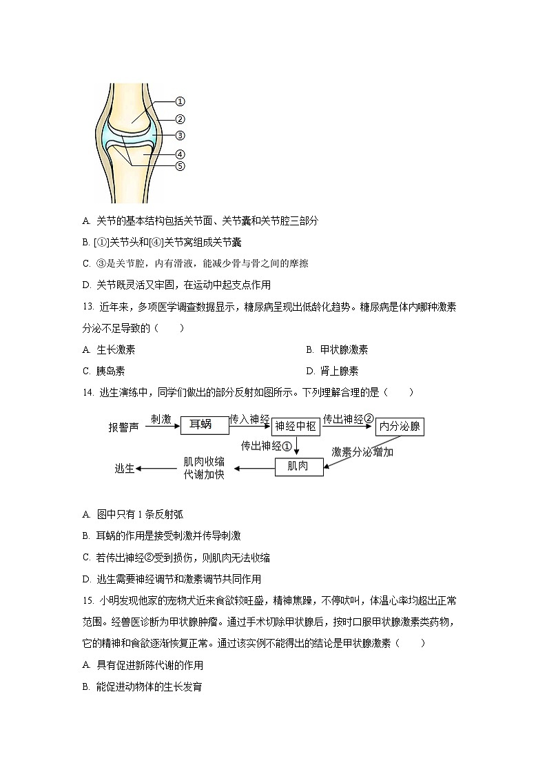 2025~2026学年河南省驻马店市新蔡县八年级（上）10月月考生物试题（学生版）第3页