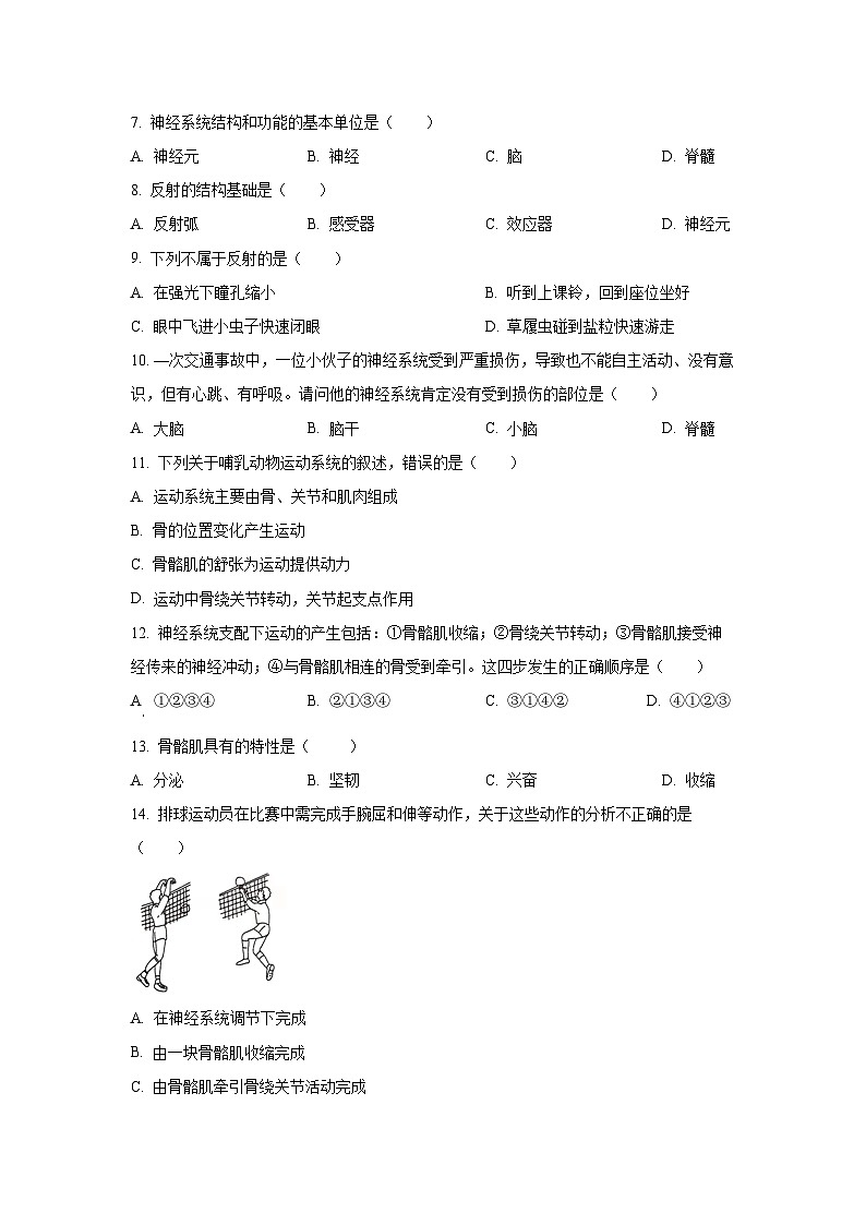 2025~2026学年河南省南阳市南召县八年级（上）10月月考生物试题（学生版）第2页