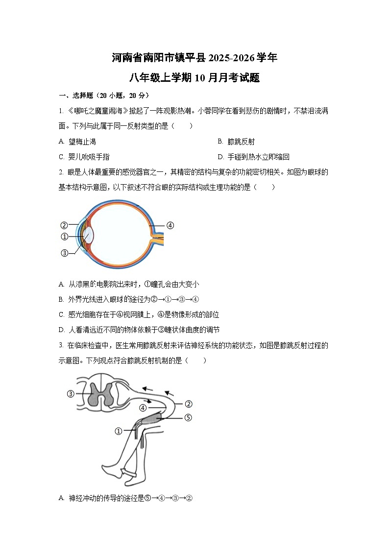2025~2026学年河南省南阳市镇平县八年级（上）10月月考生物试题（学生版）第1页