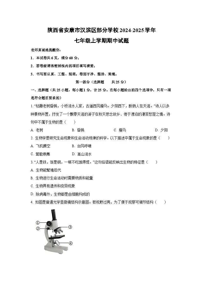 2024~2025学年陕西省安康市汉滨区部分学校七年级（上）期中生物试题（学生版）第1页