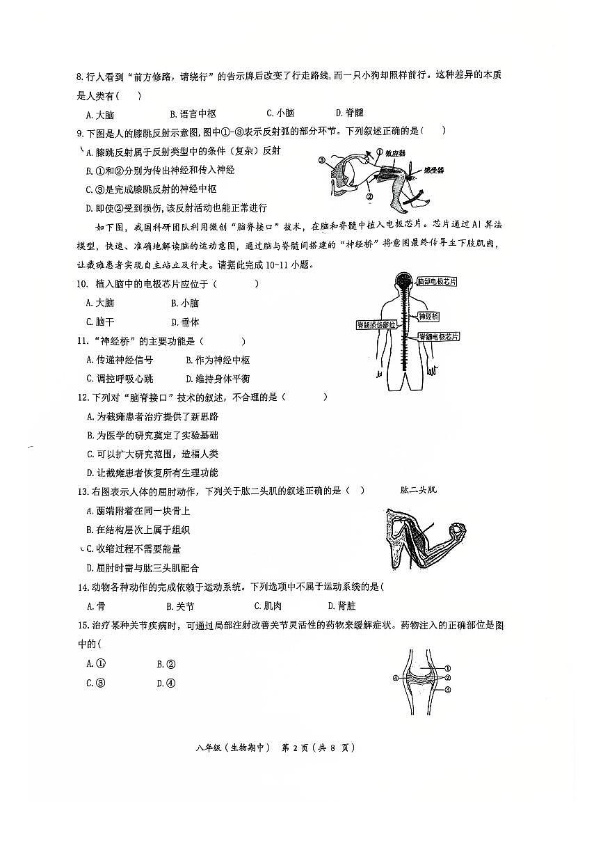 2025北京交大附中初二（上）期中生物试卷第2页