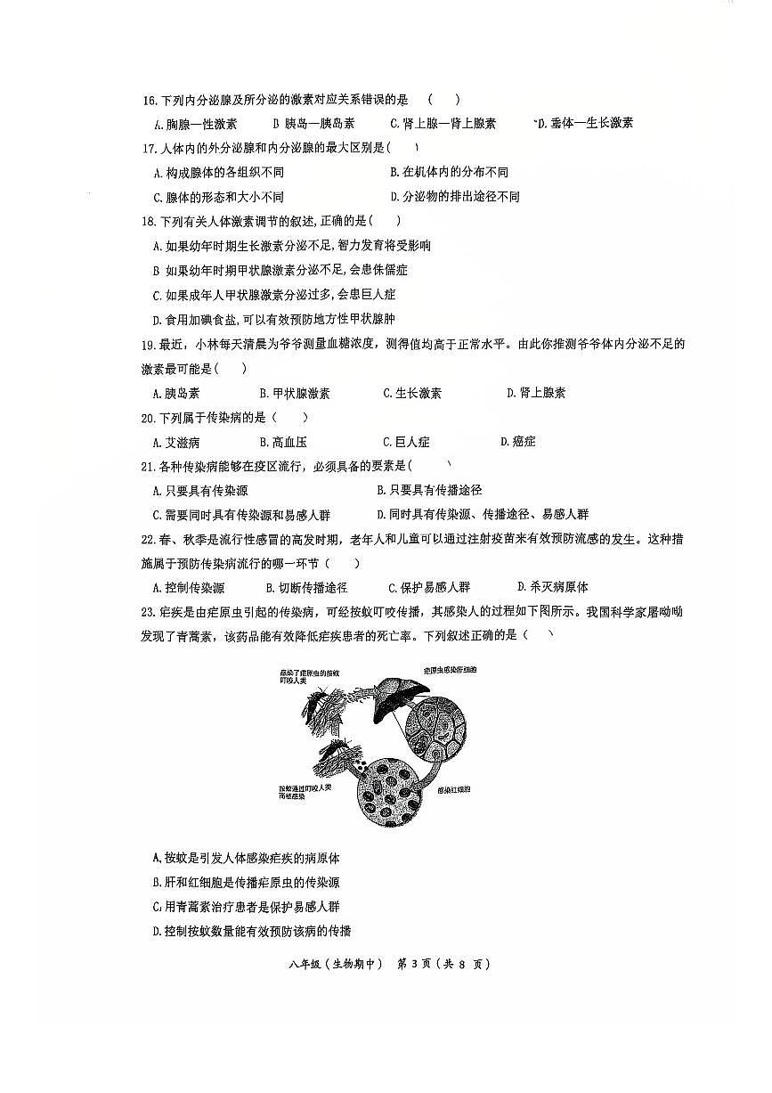 2025北京交大附中初二（上）期中生物试卷第3页