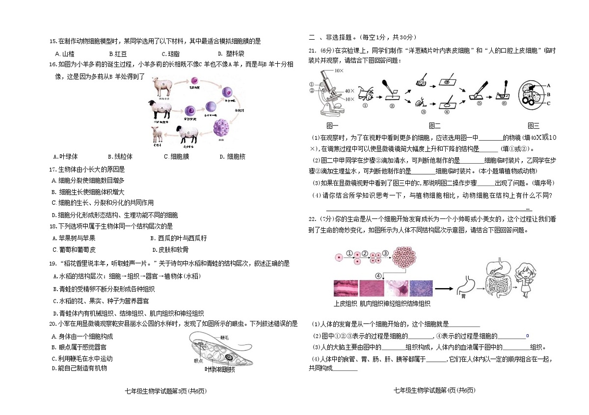 吉林省松原市乾安县2025~2026学年度第一学期期中教学质量检测    七年级生物试题（含答案）第2页