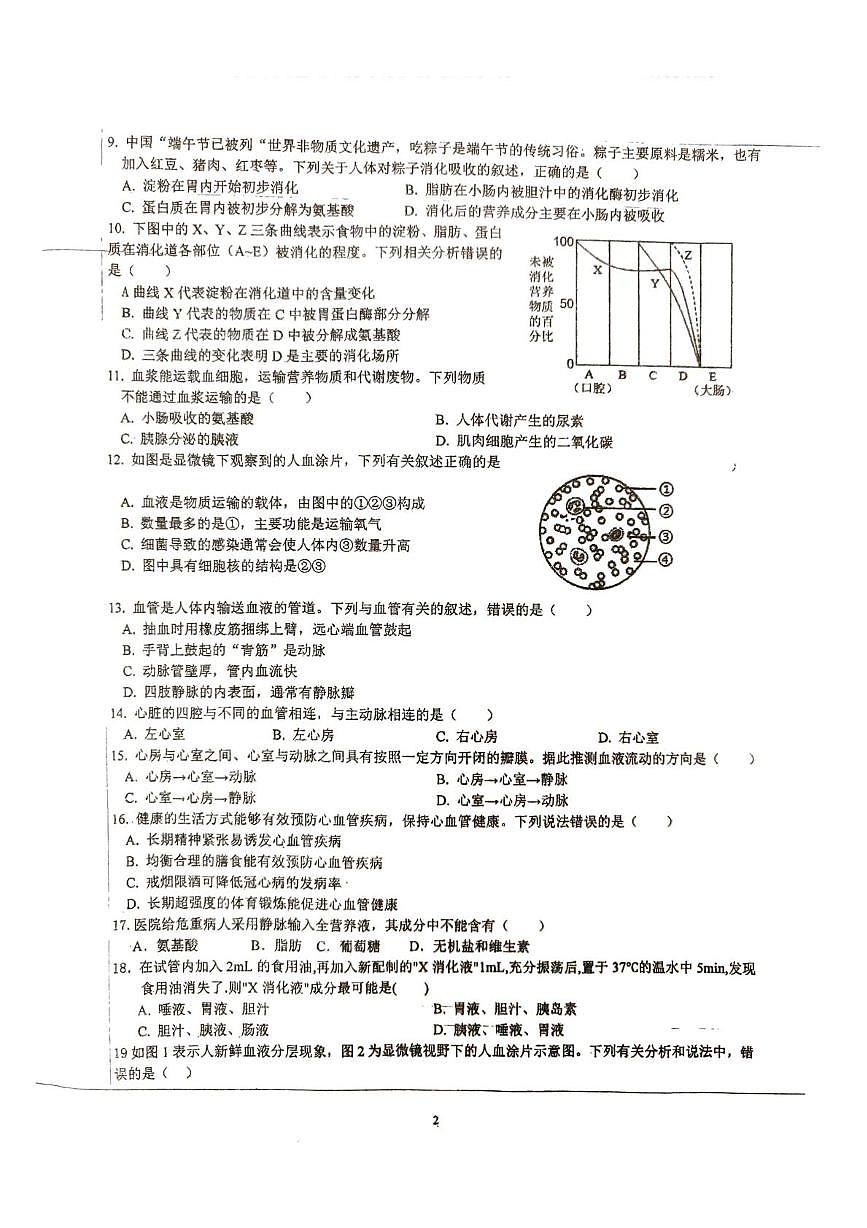 江苏省徐州市沛县初级中学联盟学区2025-2026学年八年级上学期11月期中考试生物试题第2页
