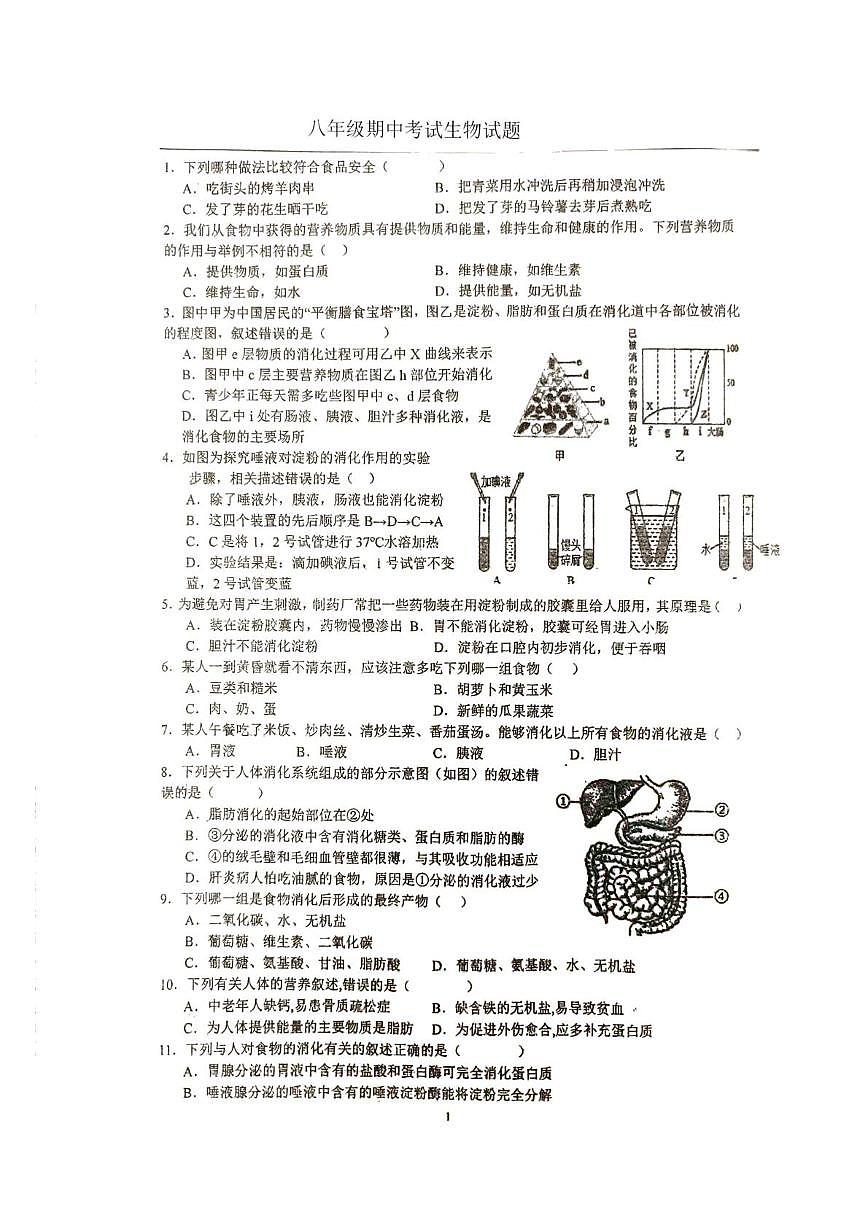 江苏省徐州市沛县实验学校联盟学区2025-2026学年八年级上学期11月期中考试生物试题第1页