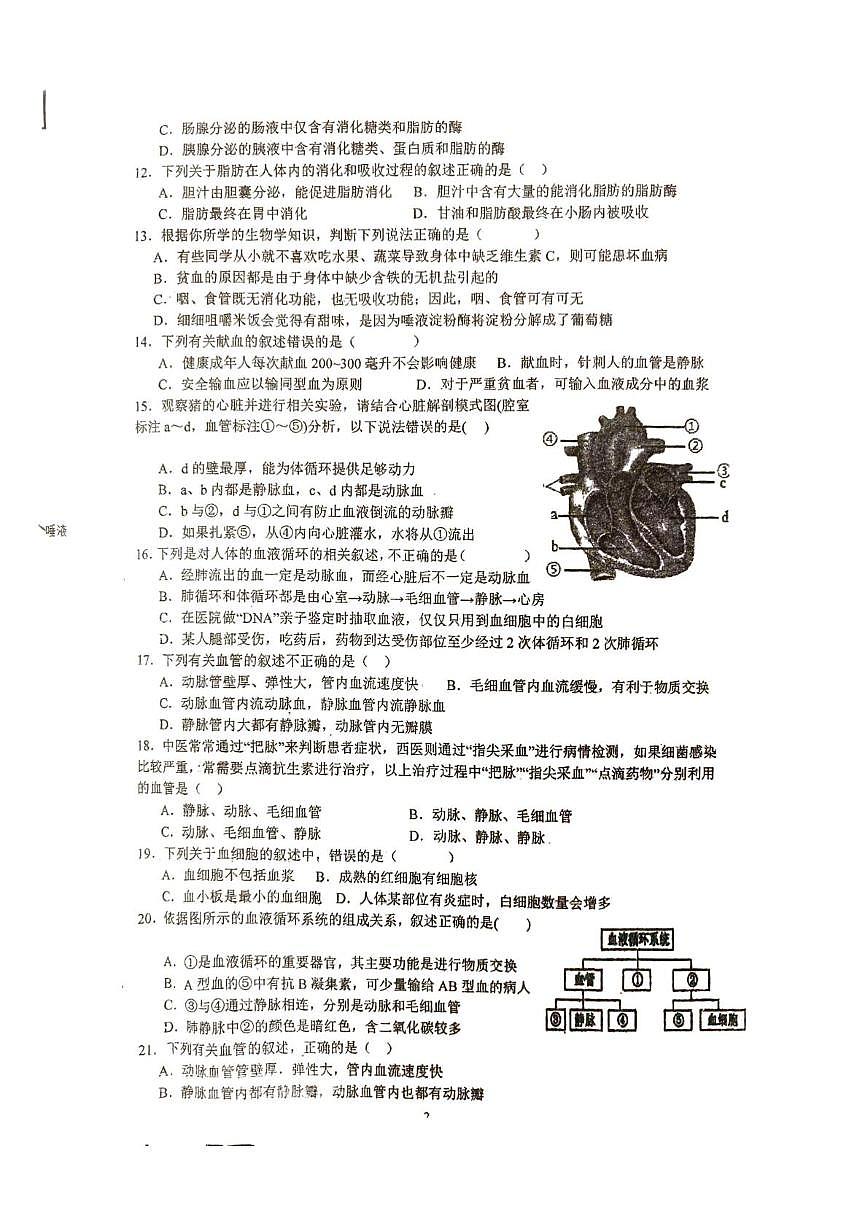 江苏省徐州市沛县实验学校联盟学区2025-2026学年八年级上学期11月期中考试生物试题第2页
