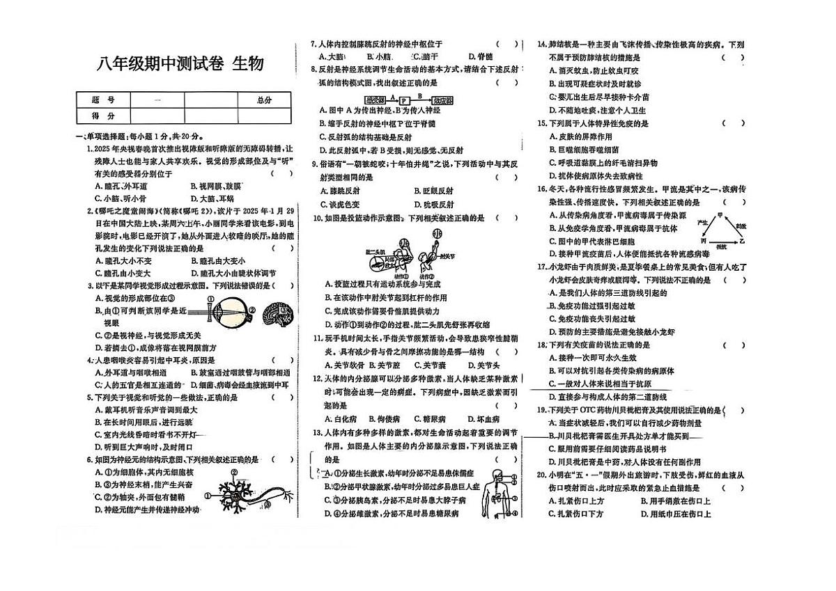辽宁省大连市四校2025—2026学年八年级上学期期中测试生物试卷第1页